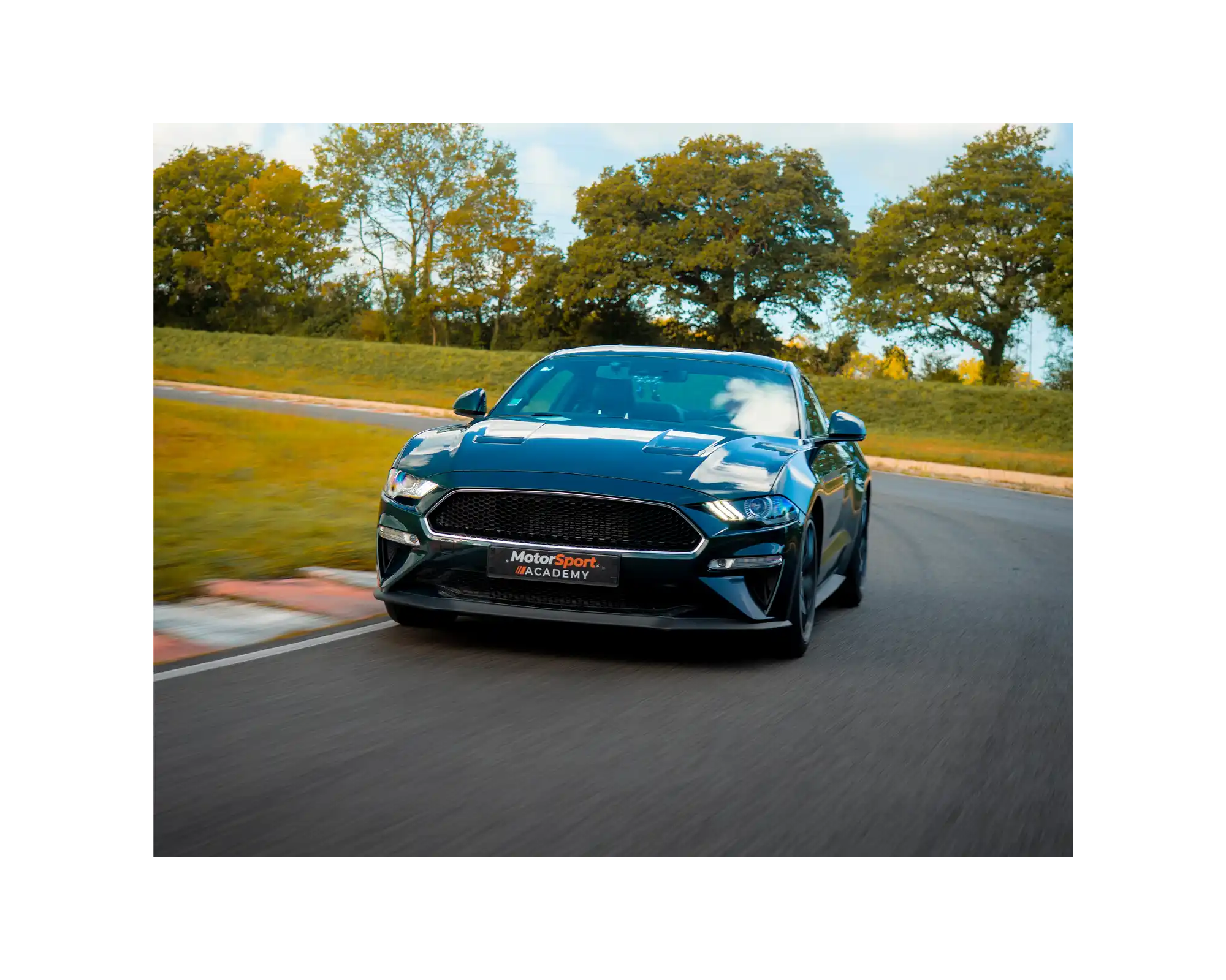Ford Mustang Bullitt sur circuit